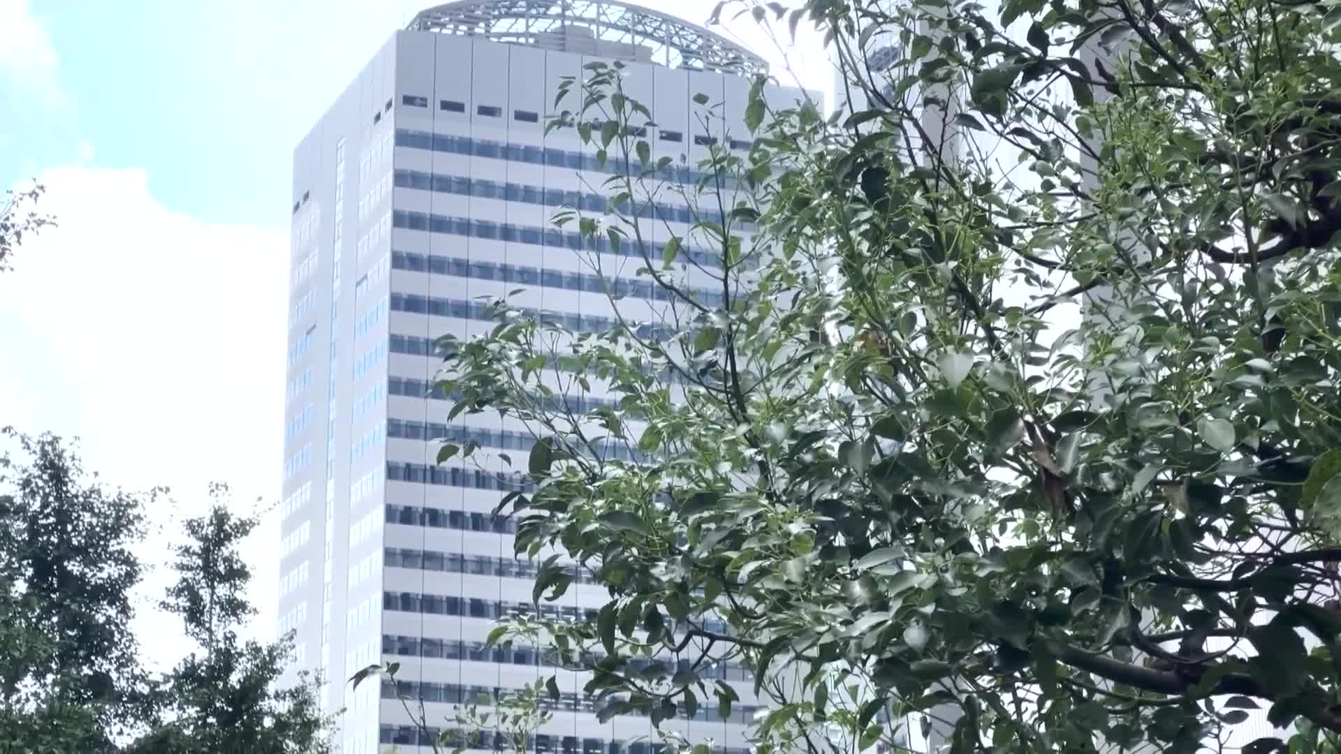 帶著懷疑的新人偶像被帶到可疑的BAR，吸入紫煙並被媚藥迷住，無論如何抵抗，在VIP包廂外都無法發出聲音，被揉搓乳房，手指插入，直到失禁潮吹，臉上滿是慾望，無法控制地多次瘋狂高潮的混亂性愛派對-松井日奈子 - AV大平台 - 中文字幕，成人影片，AV，國產，線上看