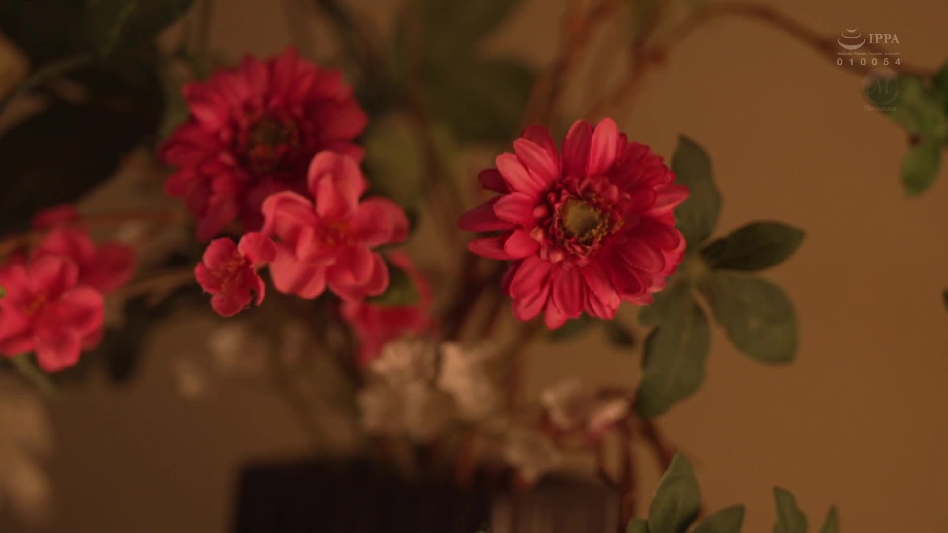 [AI解碼版]汗湧出的人妻以壓倒性的屁股擺動，我在不動腰的情況下射精了。 木村玲衣 - AV大平台 - 中文字幕，成人影片，AV，國產，線上看